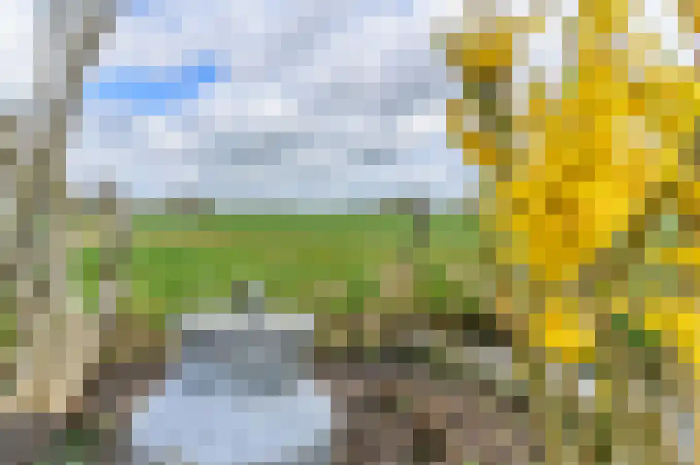 Kanaeldyk 41 De Veenhoop thumbnail 49