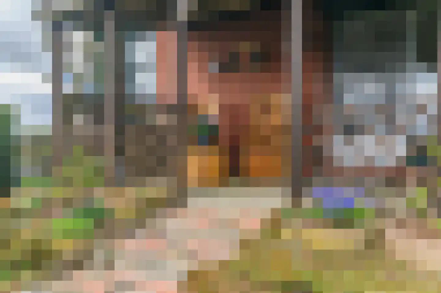 Kanaeldyk 41 De Veenhoop thumbnail 51