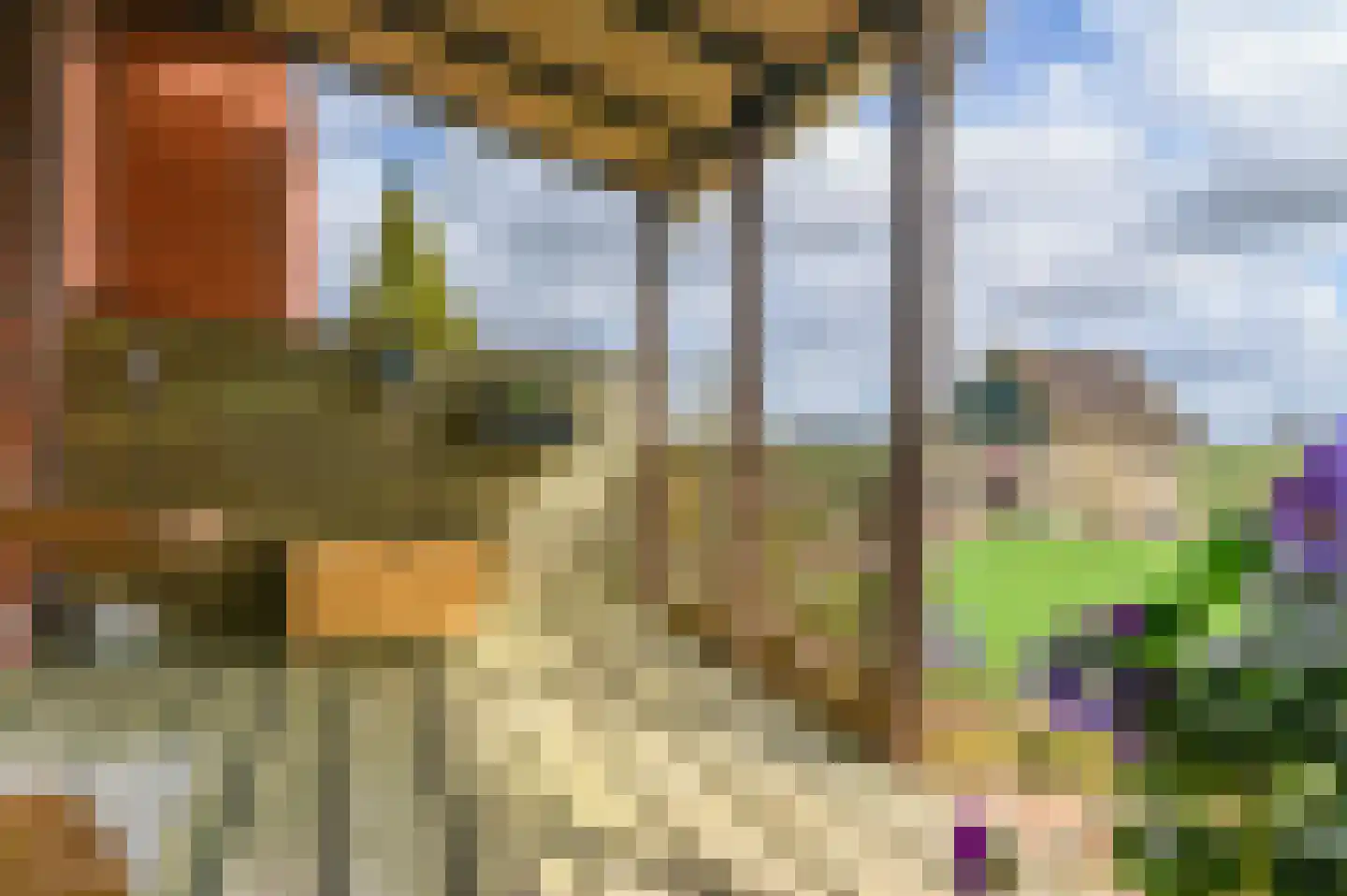 Kanaeldyk 41 De Veenhoop thumbnail 53