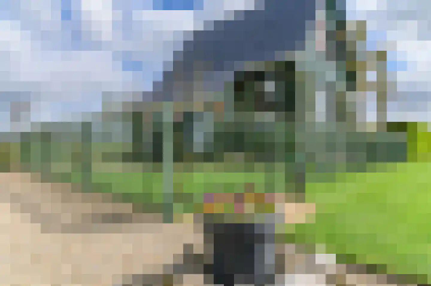 Kanaeldyk 41 De Veenhoop thumbnail 6