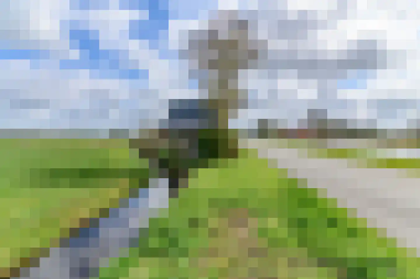 Kanaeldyk 41 De Veenhoop thumbnail 60
