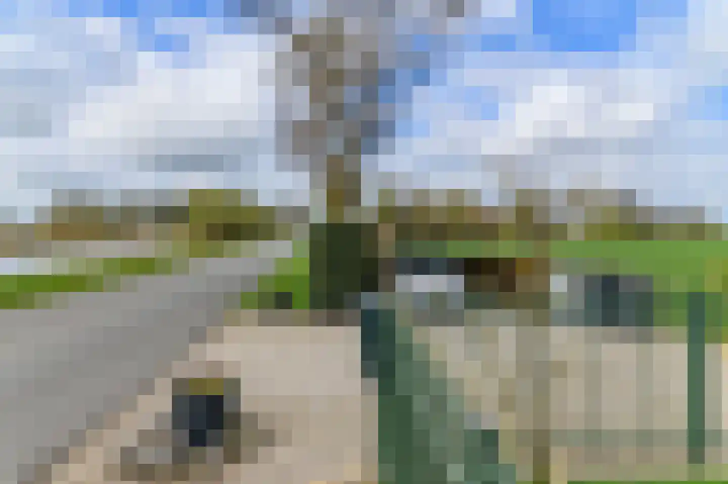 Kanaeldyk 41 De Veenhoop thumbnail 65