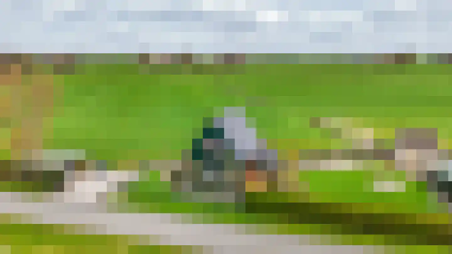 Kanaeldyk 41 De Veenhoop thumbnail 66