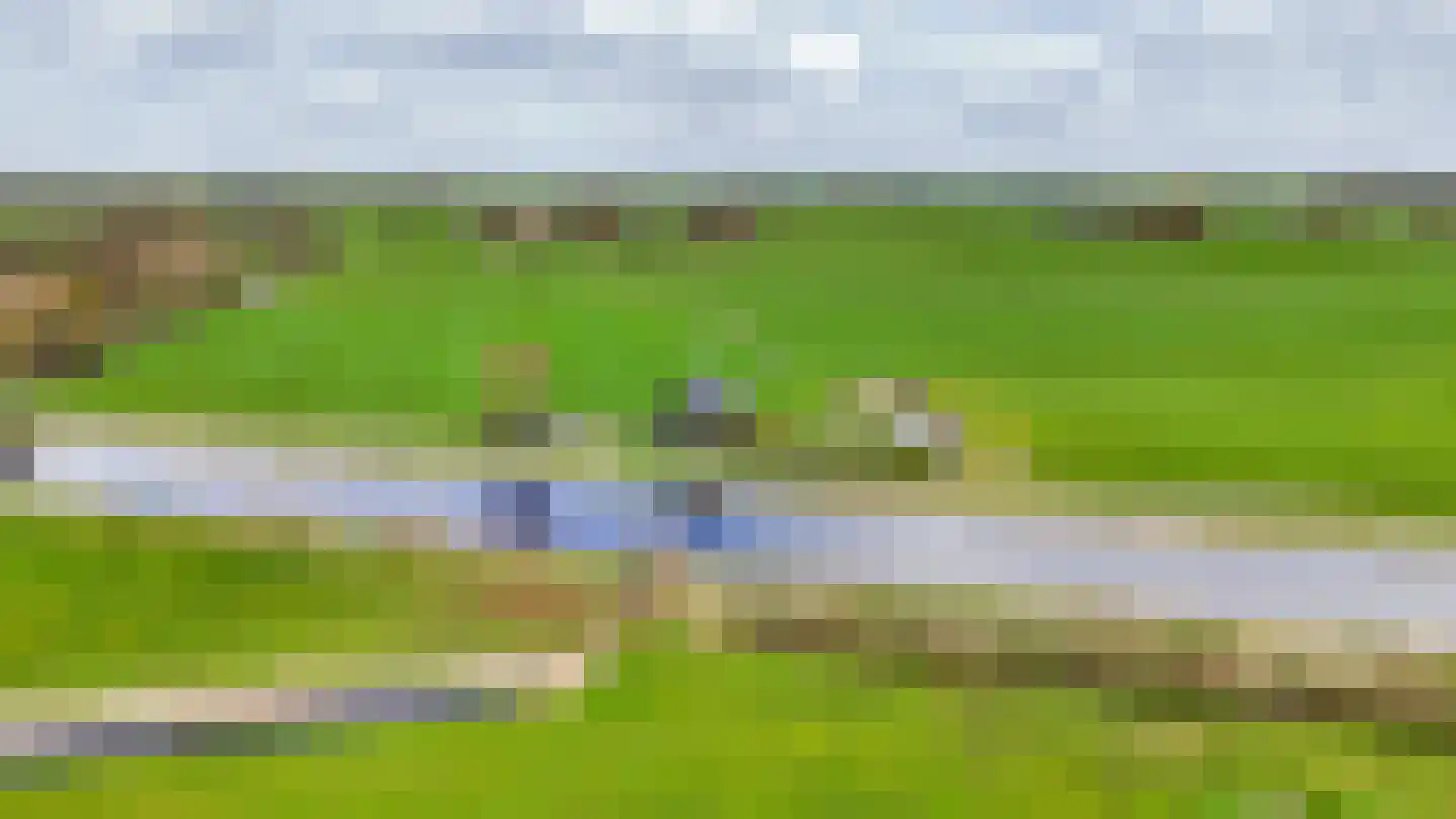 Kanaeldyk 41 De Veenhoop thumbnail 67