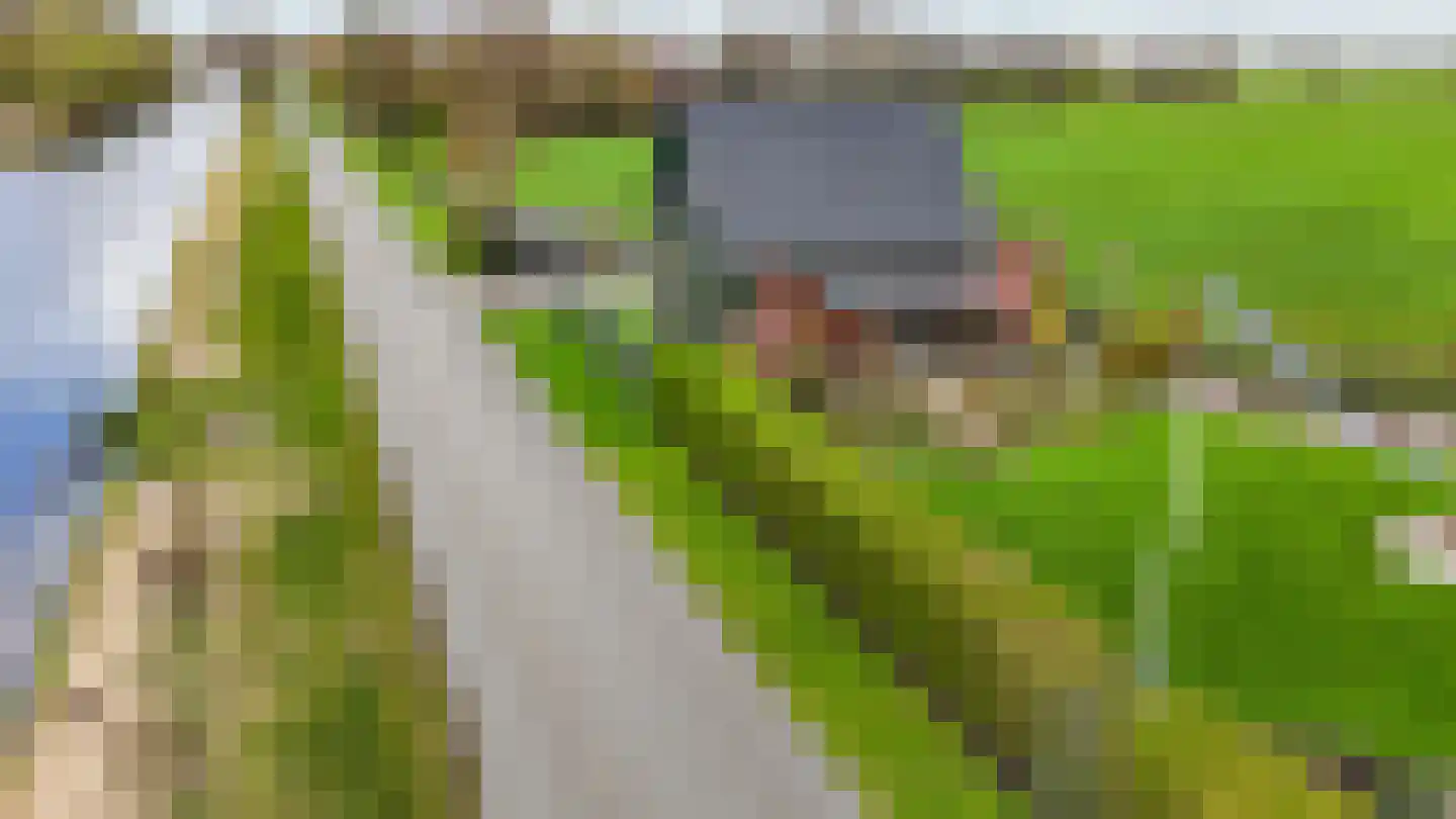 Kanaeldyk 41 De Veenhoop thumbnail 68