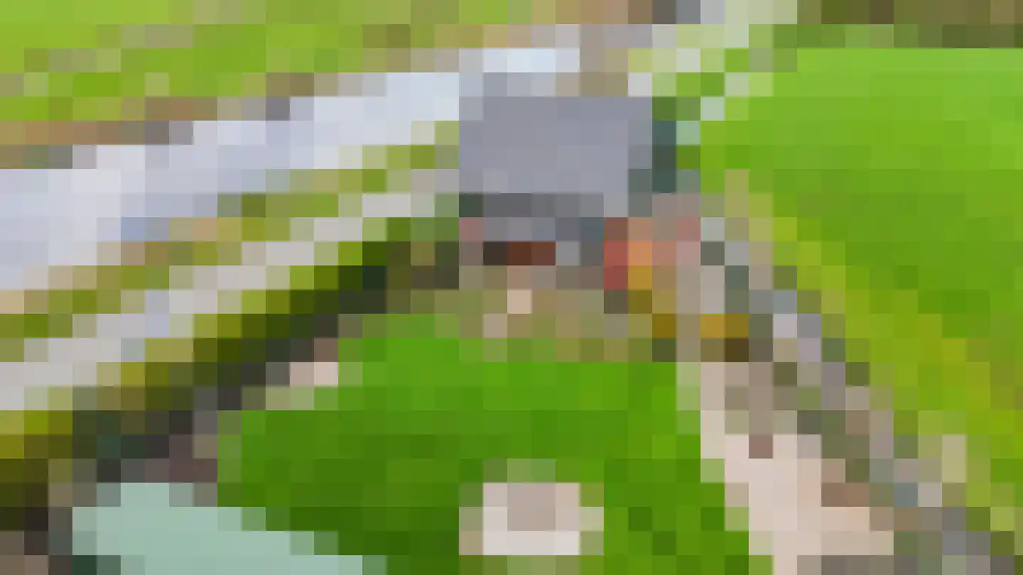 Kanaeldyk 41 De Veenhoop thumbnail 69