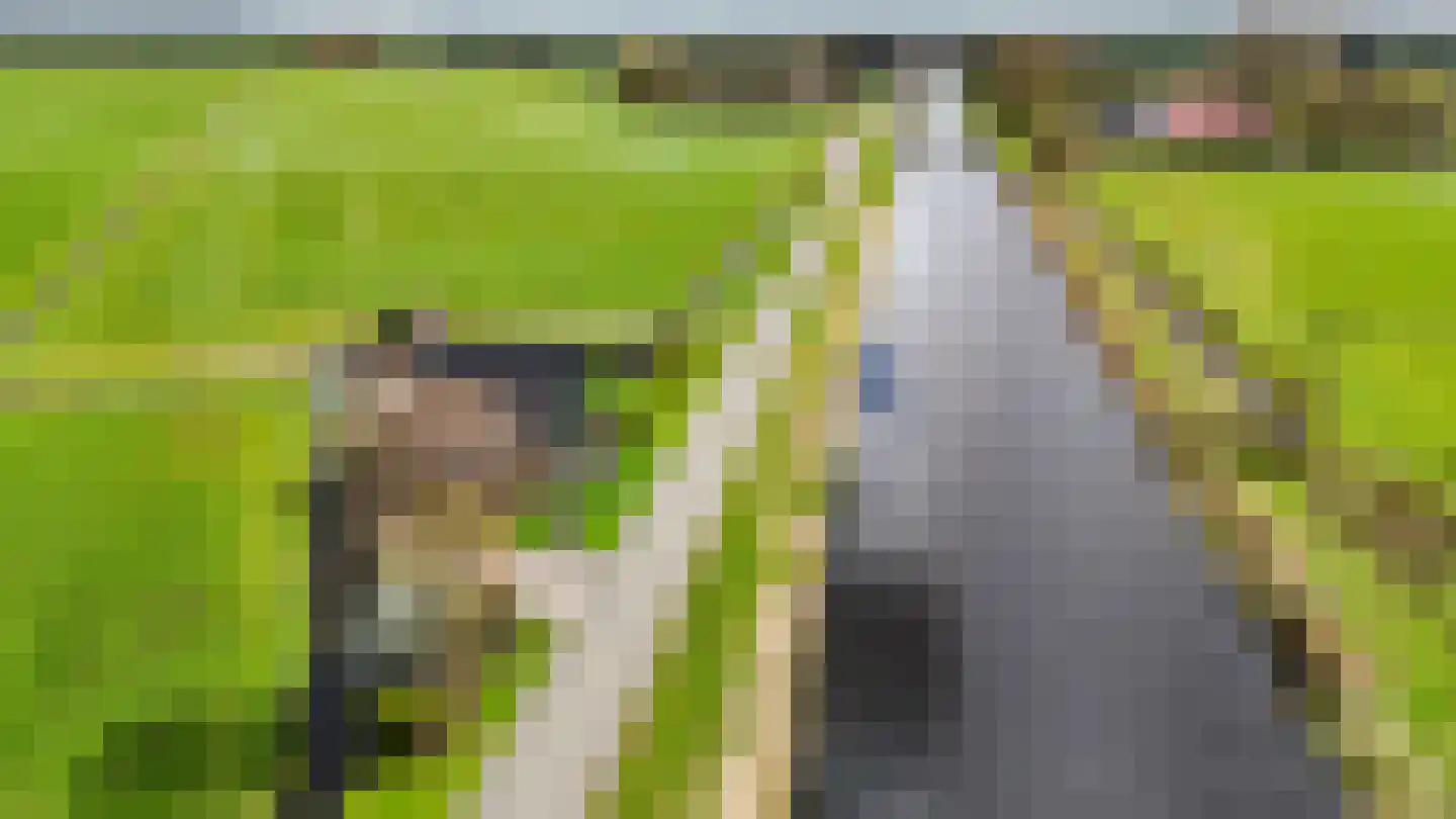 Kanaeldyk 41 De Veenhoop thumbnail 70
