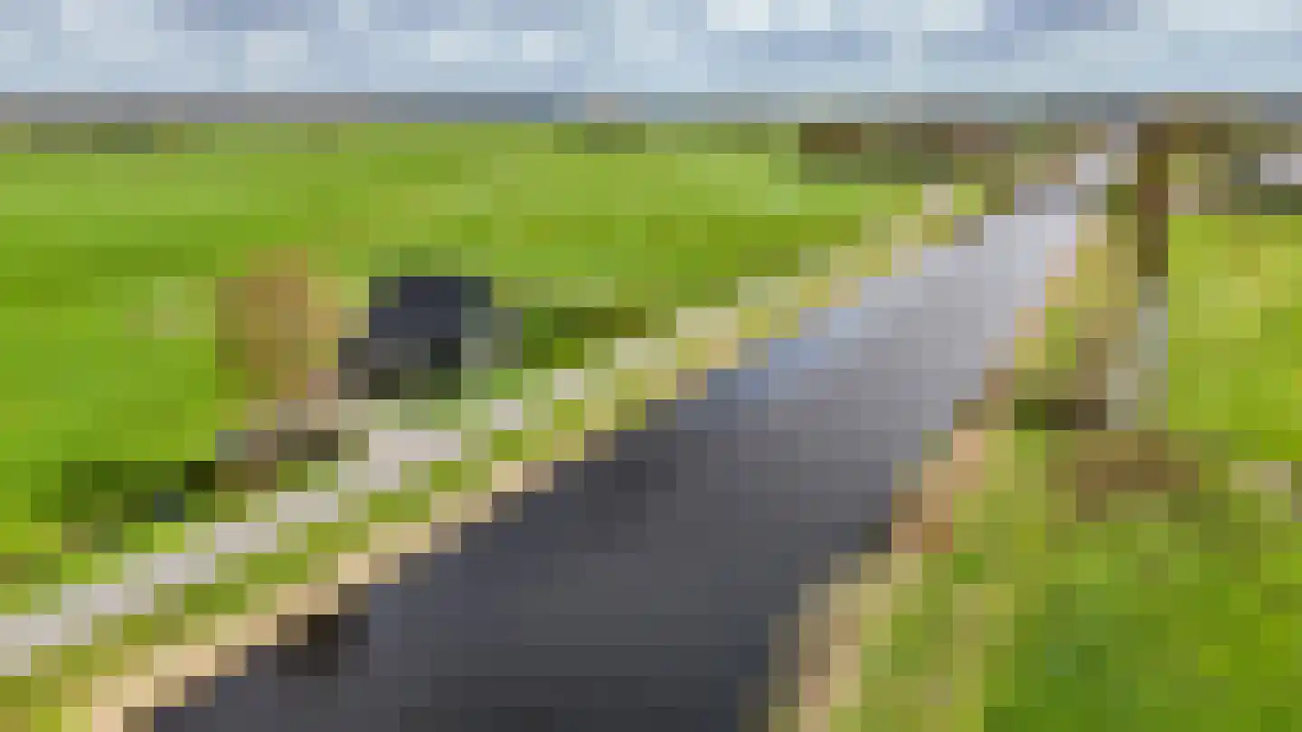 Kanaeldyk 41 De Veenhoop thumbnail 71