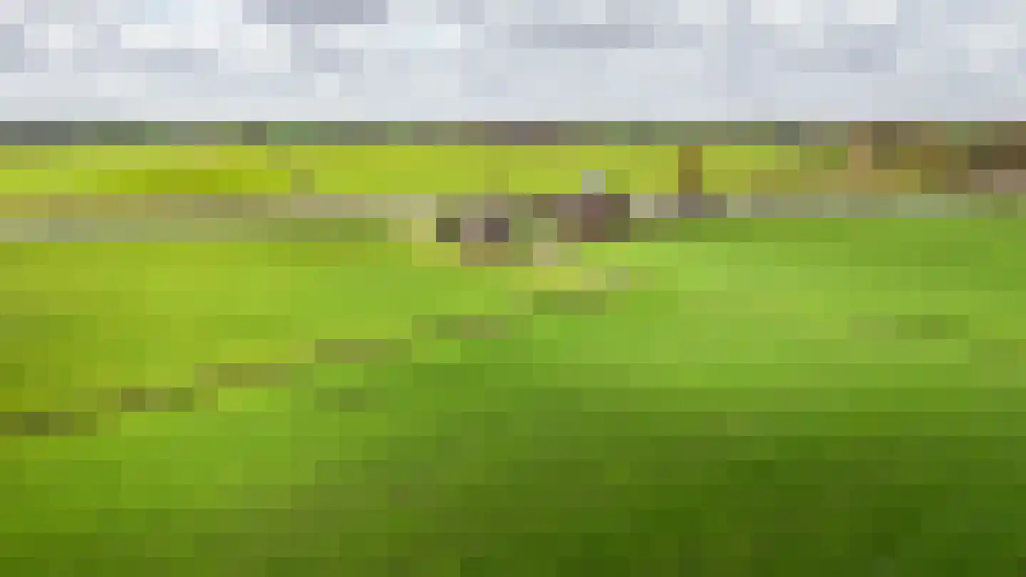 Kanaeldyk 41 De Veenhoop thumbnail 72
