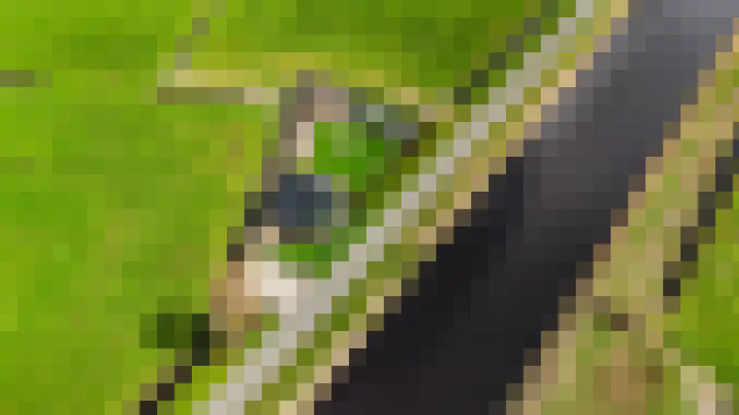 Kanaeldyk 41 De Veenhoop thumbnail 74
