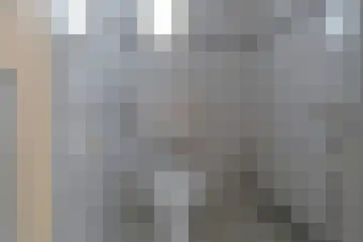 Kanaelsloane 27 Opeinde thumbnail 31