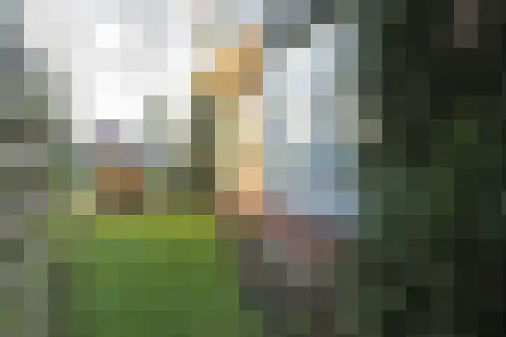 Kanaelsloane 27 Opeinde thumbnail 46