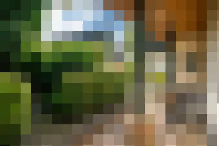 Kanaelwei Súd 7 Nij Beets thumbnail 10