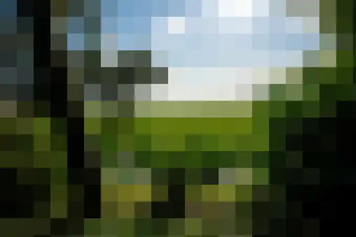 Kanaelwei Súd 7 Nij Beets thumbnail 12