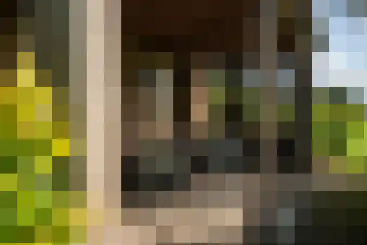 Kanaelwei Súd 7 Nij Beets thumbnail 15