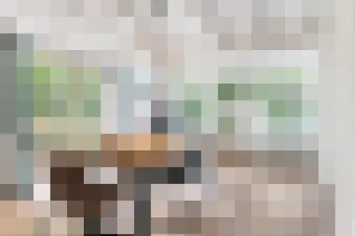 Kanaelwei Súd 7 Nij Beets foto 2