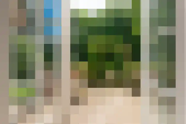 Kanaelwei Súd 7 Nij Beets thumbnail 23