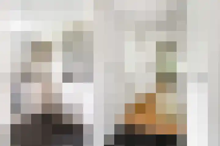 Kanaelwei Súd 7 Nij Beets thumbnail 24
