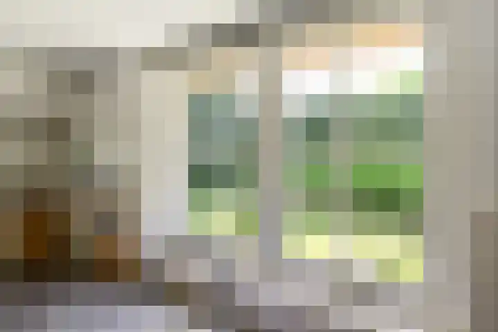 Kanaelwei Súd 7 Nij Beets thumbnail 26