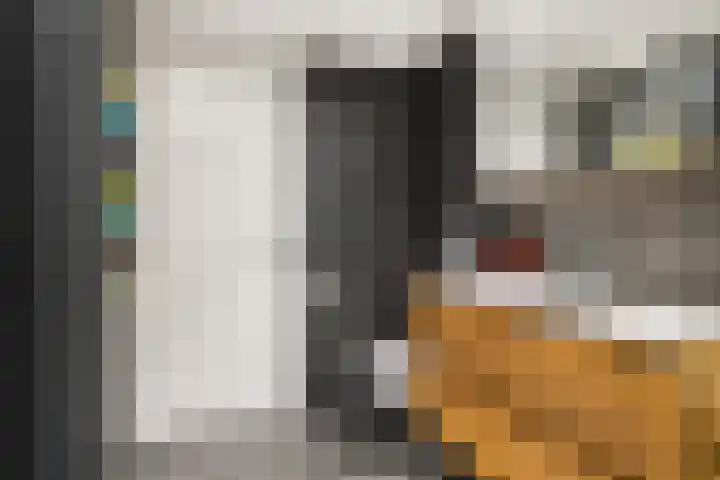 Kanaelwei Súd 7 Nij Beets thumbnail 28