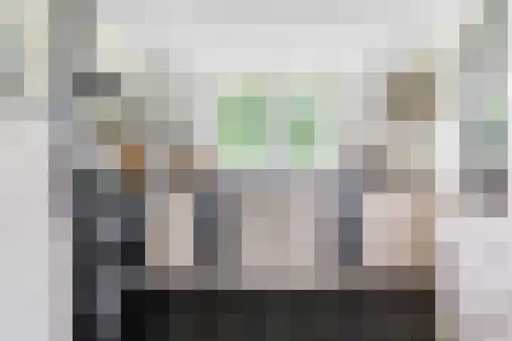 Kanaelwei Súd 7 Nij Beets foto 3