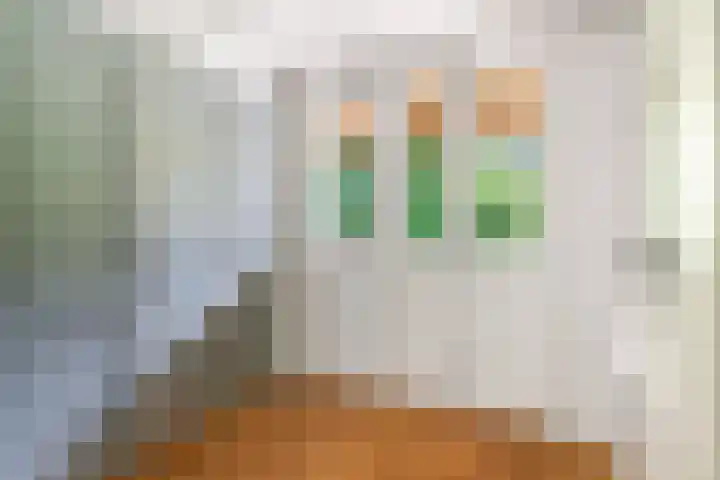 Kanaelwei Súd 7 Nij Beets thumbnail 30
