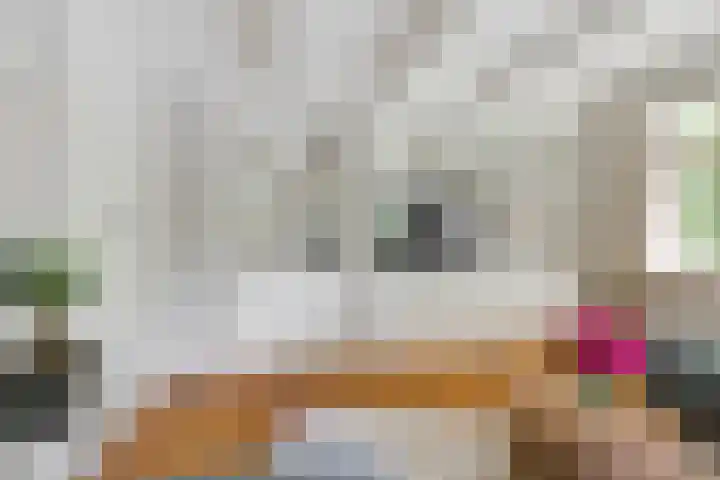 Kanaelwei Súd 7 Nij Beets thumbnail 34