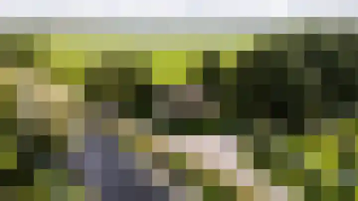 Kanaelwei Súd 7 Nij Beets thumbnail 4