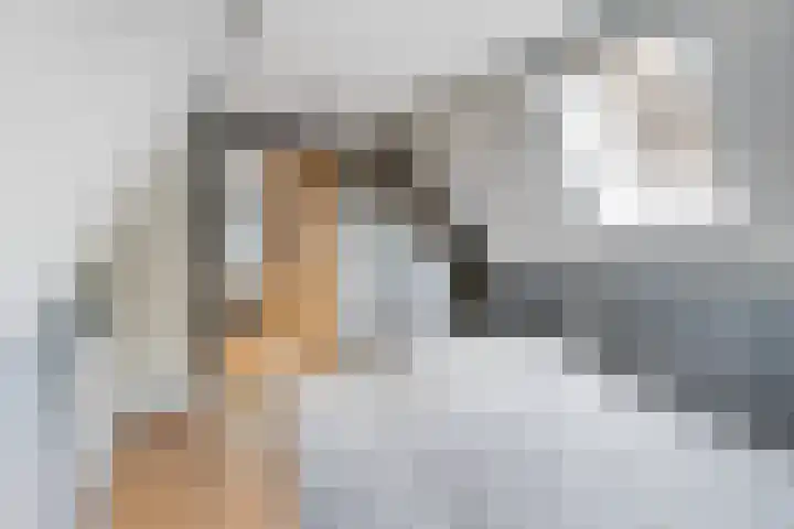 Kanaelwei Súd 7 Nij Beets thumbnail 42