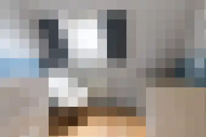 Kanaelwei Súd 7 Nij Beets thumbnail 45
