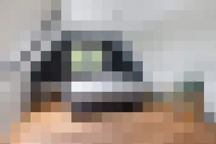 Kanaelwei Súd 7 Nij Beets thumbnail 47