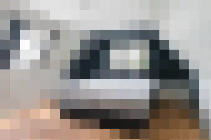 Kanaelwei Súd 7 Nij Beets thumbnail 48