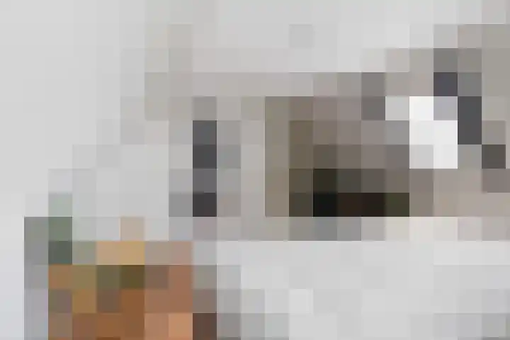 Kanaelwei Súd 7 Nij Beets thumbnail 49