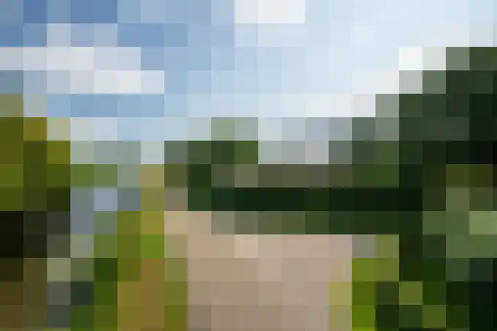 Kanaelwei Súd 7 Nij Beets thumbnail 5