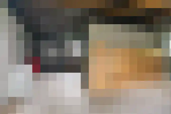 Kanaelwei Súd 7 Nij Beets thumbnail 51