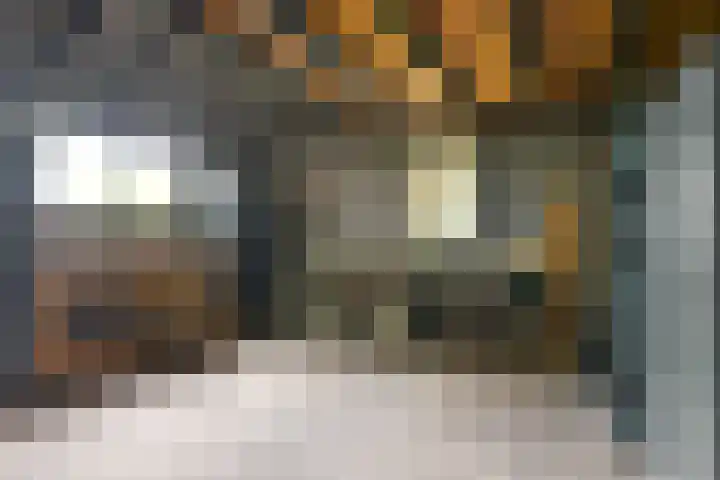 Kanaelwei Súd 7 Nij Beets thumbnail 52