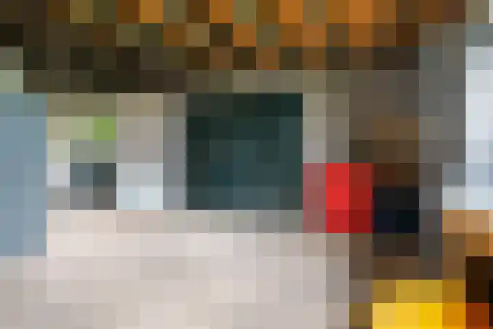 Kanaelwei Súd 7 Nij Beets thumbnail 53