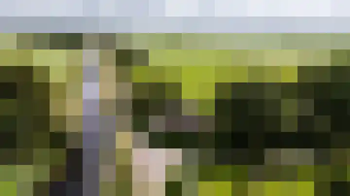 Kanaelwei Súd 7 Nij Beets thumbnail 55