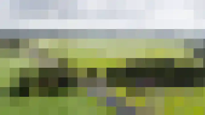 Kanaelwei Súd 7 Nij Beets thumbnail 56