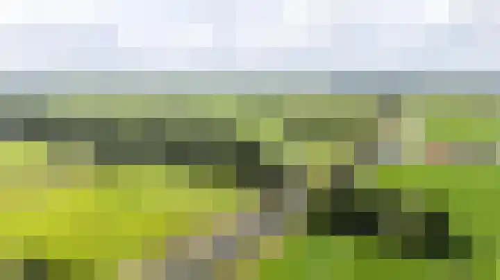 Kanaelwei Súd 7 Nij Beets thumbnail 57