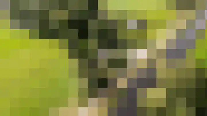 Kanaelwei Súd 7 Nij Beets thumbnail 58