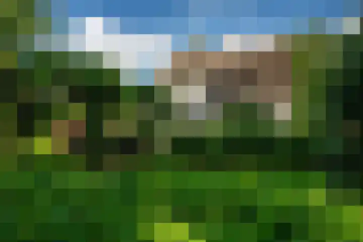 Kanaelwei Súd 7 Nij Beets thumbnail 6