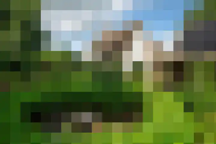 Kanaelwei Súd 7 Nij Beets thumbnail 61