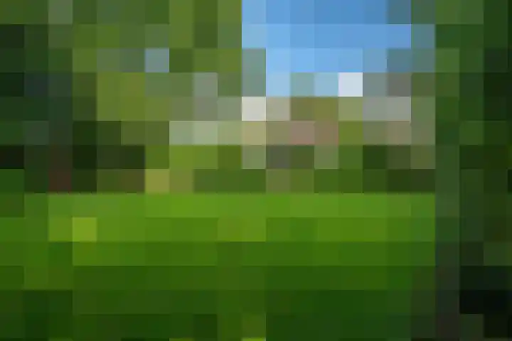 Kanaelwei Súd 7 Nij Beets thumbnail 62