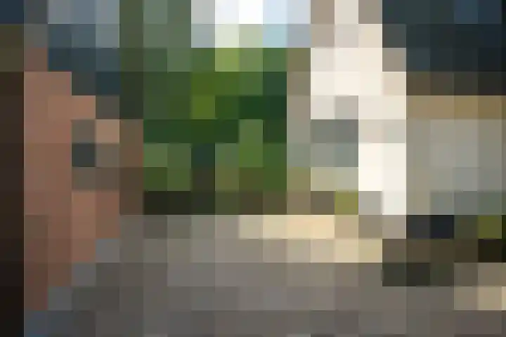 Kanaelwei Súd 7 Nij Beets thumbnail 63