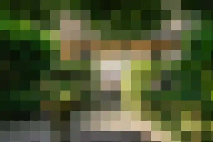 Kanaelwei Súd 7 Nij Beets thumbnail 64