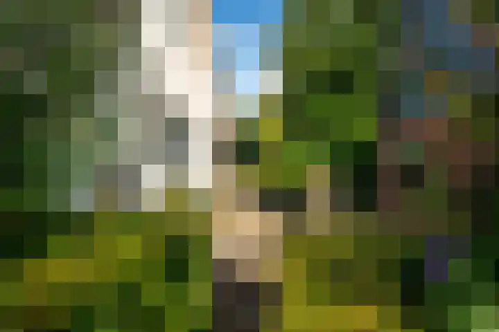 Kanaelwei Súd 7 Nij Beets thumbnail 65