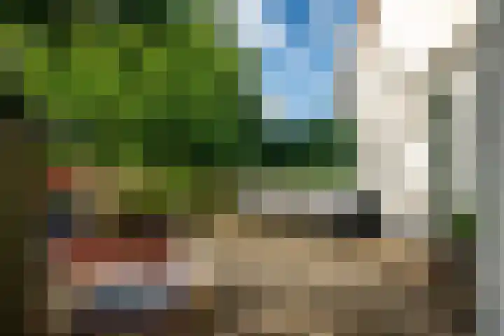 Kanaelwei Súd 7 Nij Beets thumbnail 66