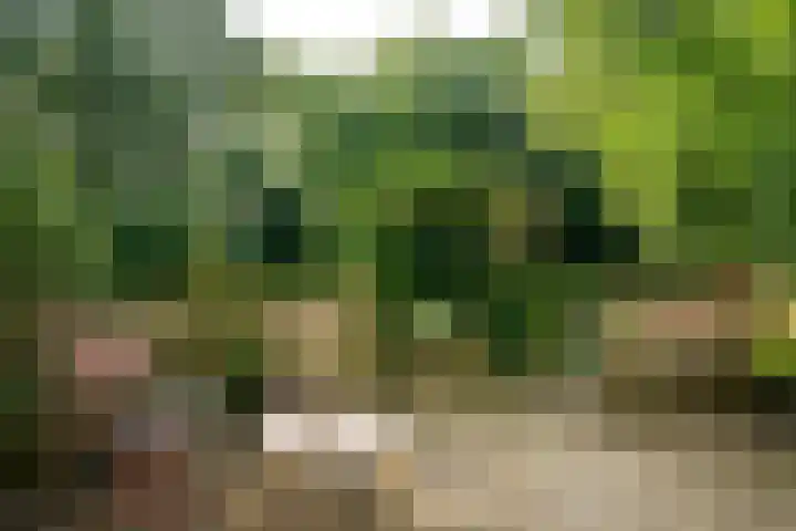 Kanaelwei Súd 7 Nij Beets thumbnail 67