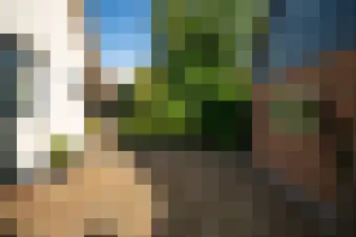 Kanaelwei Súd 7 Nij Beets thumbnail 68